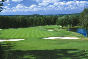 TreeTops Course Picture